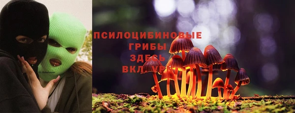 каннабис Богданович
