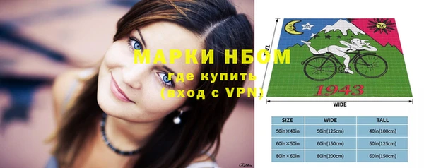 Альфа ПВП Богородск